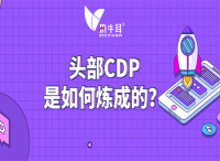 執(zhí)牛耳十問：頭部CDP是如何煉成的？