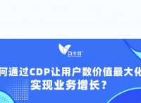 權(quán)威報告解碼：如何通過CDP讓用戶數(shù)據(jù)價值最大化，實現(xiàn)業(yè)務(wù)增長？